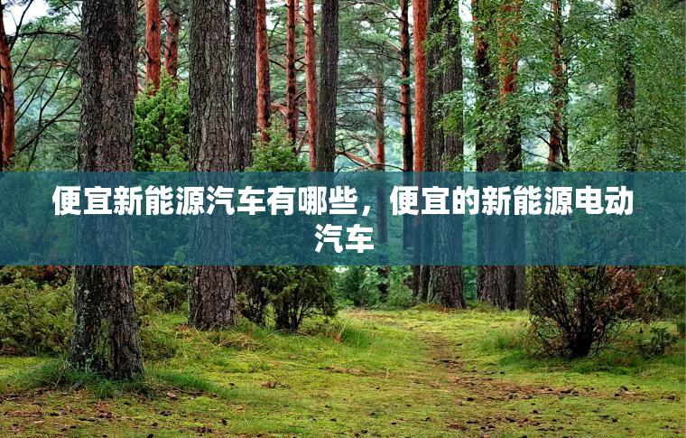 便宜新能源汽车有哪些，便宜的新能源电动汽车