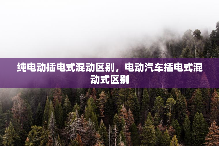 纯电动插电式混动区别，电动汽车插电式混动式区别
