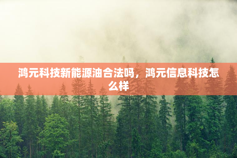 鸿元科技新能源油合法吗，鸿元信息科技怎么样