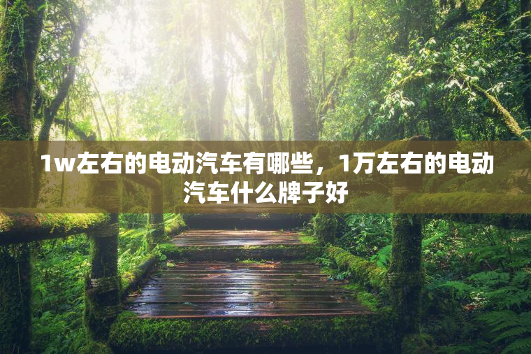 1w左右的电动汽车有哪些，1万左右的电动汽车什么牌子好