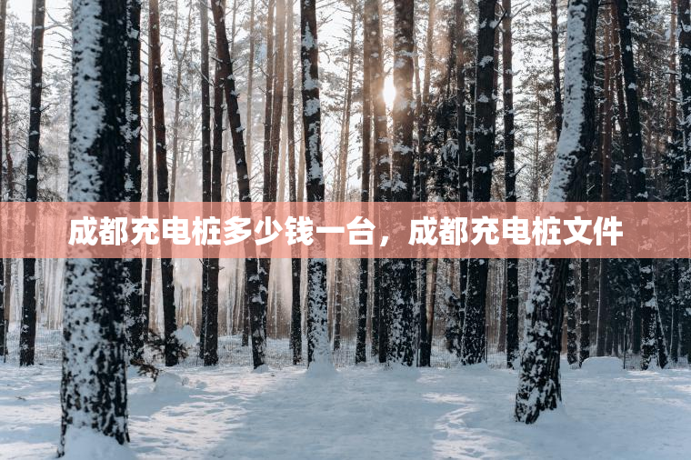 成都充电桩多少钱一台，成都充电桩文件