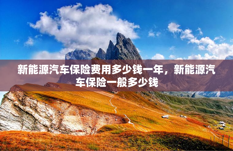 新能源汽车保险费用多少钱一年,新能源汽车保险一般多少钱 新能源汽车保险费用多少钱一年,新能源汽车保险一般多少钱