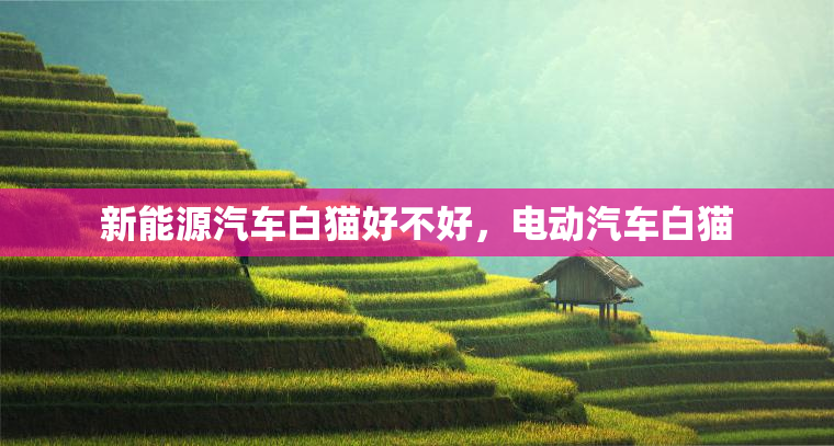 新能源汽车白猫好不好，电动汽车白猫