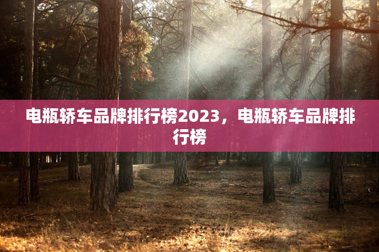 电瓶轿车品牌排行榜2023，电瓶轿车品牌排行榜