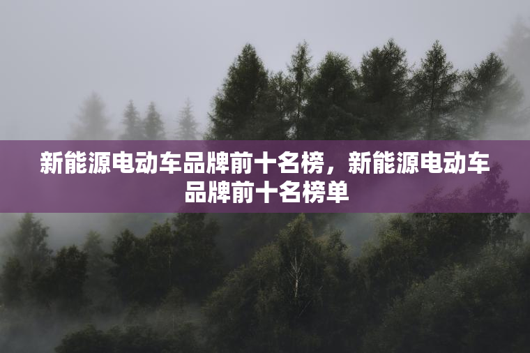 新能源电动车品牌前十名榜，新能源电动车品牌前十名榜单