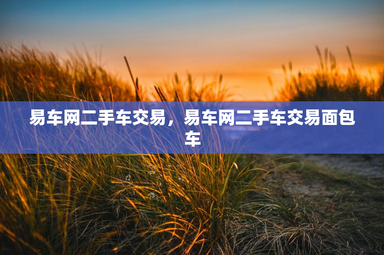 易车网二手车交易，易车网二手车交易面包车