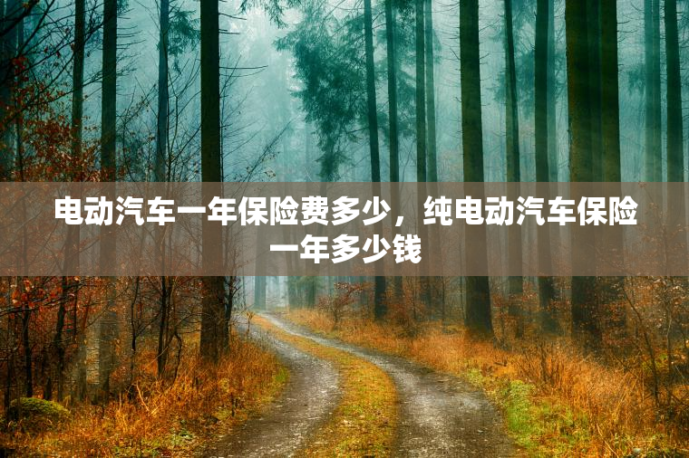 电动汽车一年保险费多少，纯电动汽车保险一年多少钱