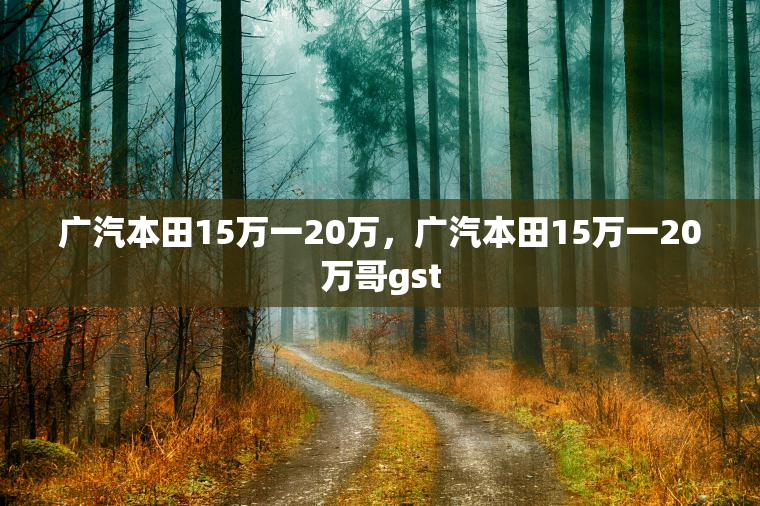 广汽本田15万一20万,广汽本田15万一20万哥gst 广汽本田15万一20万,广汽本田15万一20万哥gst