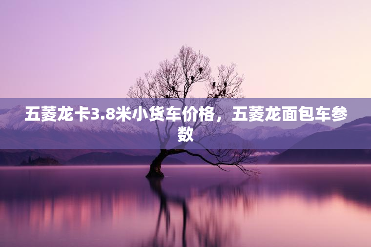 五菱龙卡3.8米小货车价格，五菱龙面包车参数