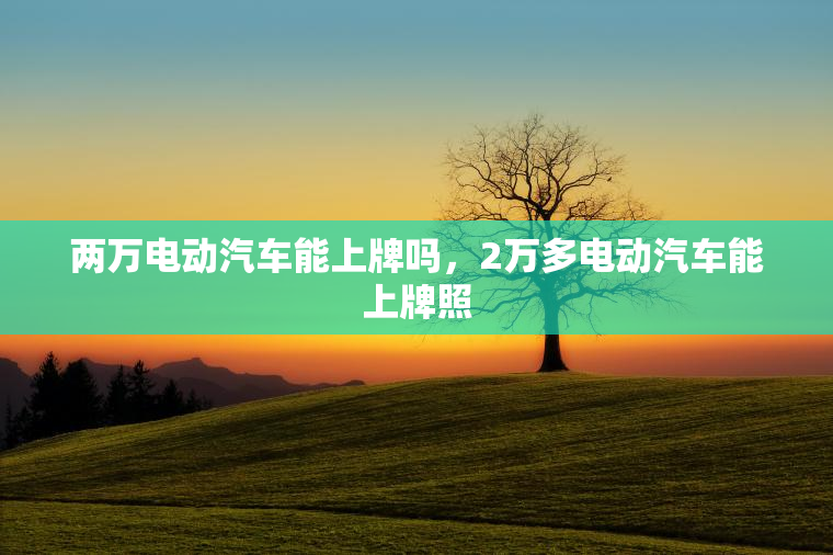 两万电动汽车能上牌吗，2万多电动汽车能上牌照