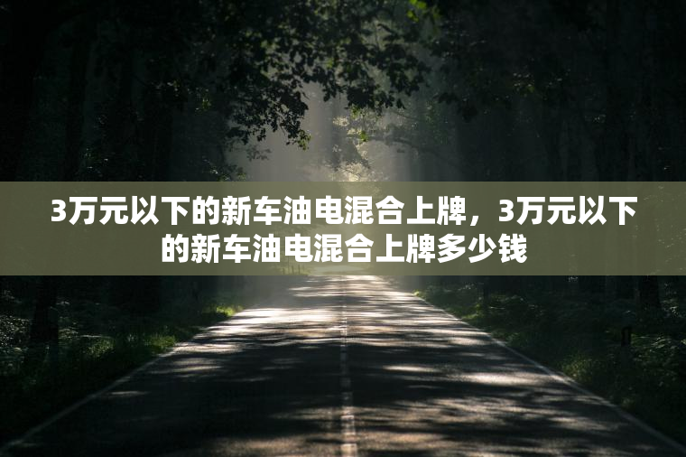 3万元以下的新车油电混合上牌，3万元以下的新车油电混合上牌多少钱