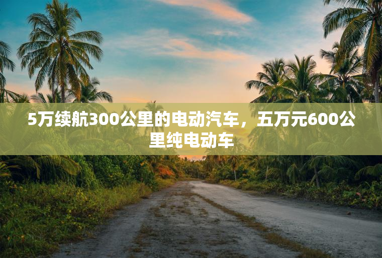 5万续航300公里的电动汽车，五万元600公里纯电动车
