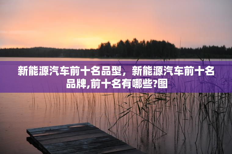 新能源汽车前十名品型，新能源汽车前十名品牌,前十名有哪些?图