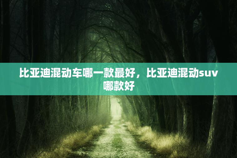 比亚迪混动车哪一款最好，比亚迪混动suv哪款好