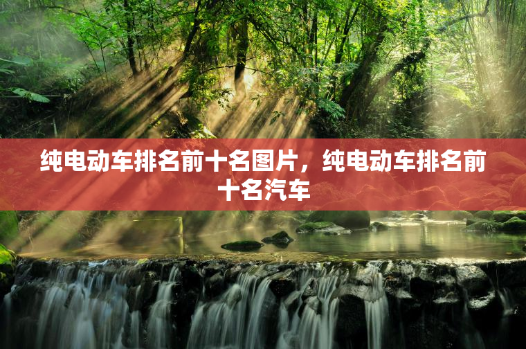 纯电动车排名前十名图片，纯电动车排名前十名汽车