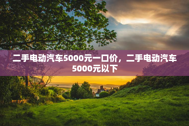 二手电动汽车5000元一口价，二手电动汽车5000元以下