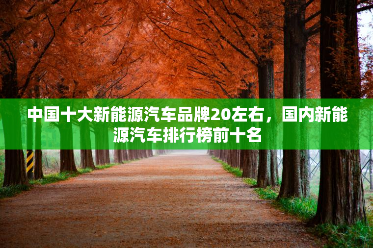 中国十大新能源汽车品牌20左右，国内新能源汽车排行榜前十名