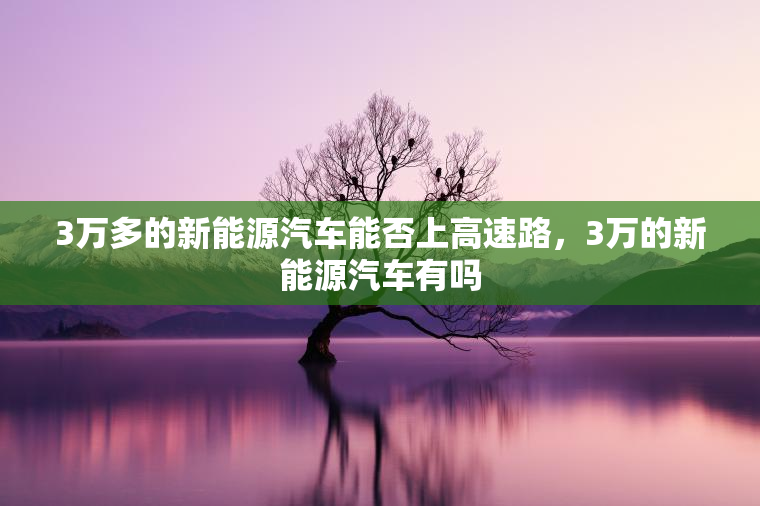 3万多的新能源汽车能否上高速路，3万的新能源汽车有吗
