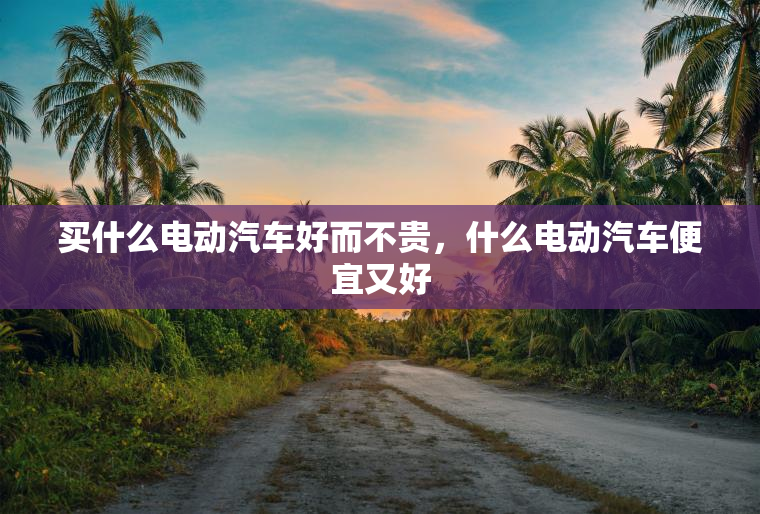 买什么电动汽车好而不贵，什么电动汽车便宜又好