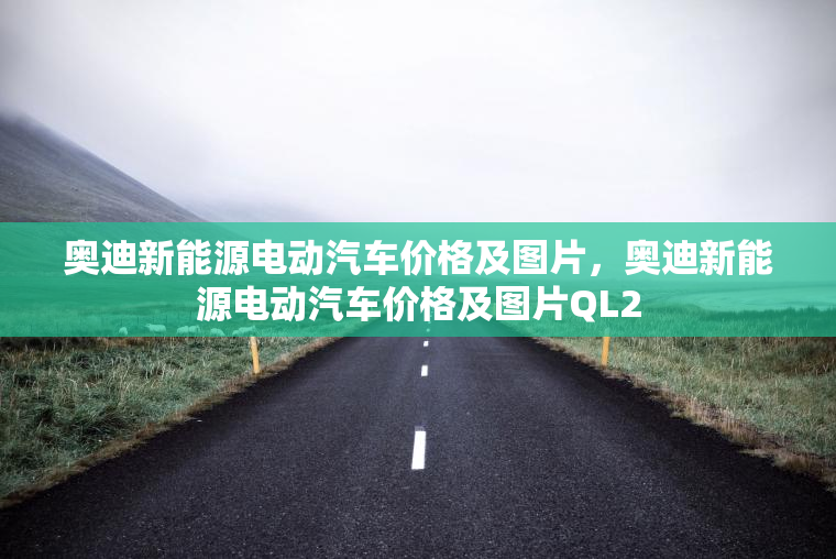 奥迪新能源电动汽车价格及图片，奥迪新能源电动汽车价格及图片QL2