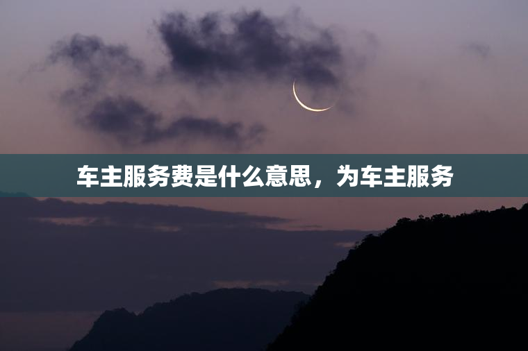 车主服务费是什么意思，为车主服务