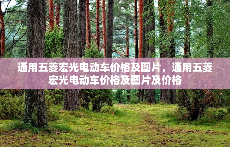 通用五菱宏光电动车价格及图片，通用五菱宏光电动车价格及图片及价格