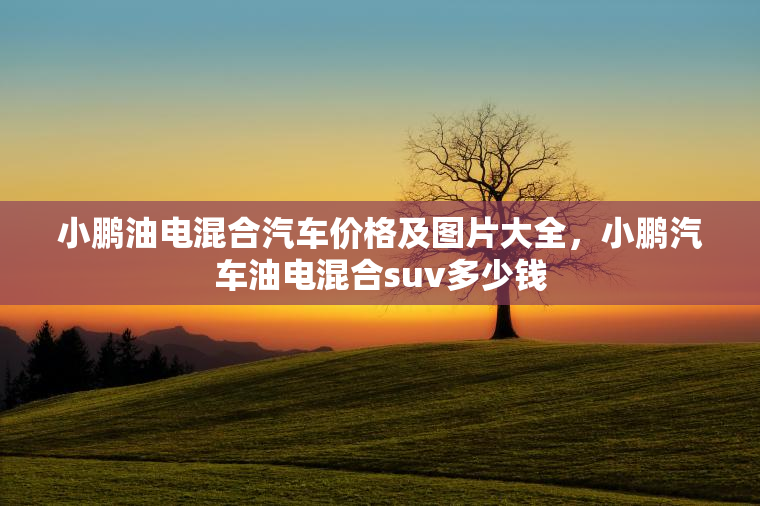 小鹏油电混合汽车价格及图片大全，小鹏汽车油电混合suv多少钱