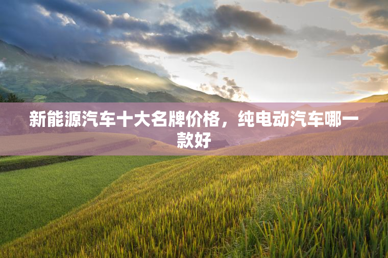 新能源汽车十大名牌价格,纯电动汽车哪一款好 新能源汽车十大名牌价格,纯电动汽车哪一款好