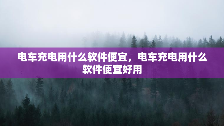 电车充电用什么软件便宜，电车充电用什么软件便宜好用