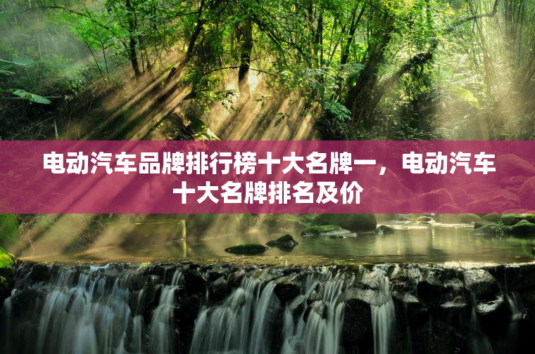 电动汽车品牌排行榜十大名牌一，电动汽车十大名牌排名及价