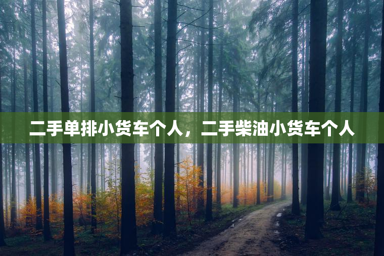 二手单排小货车个人，二手柴油小货车个人