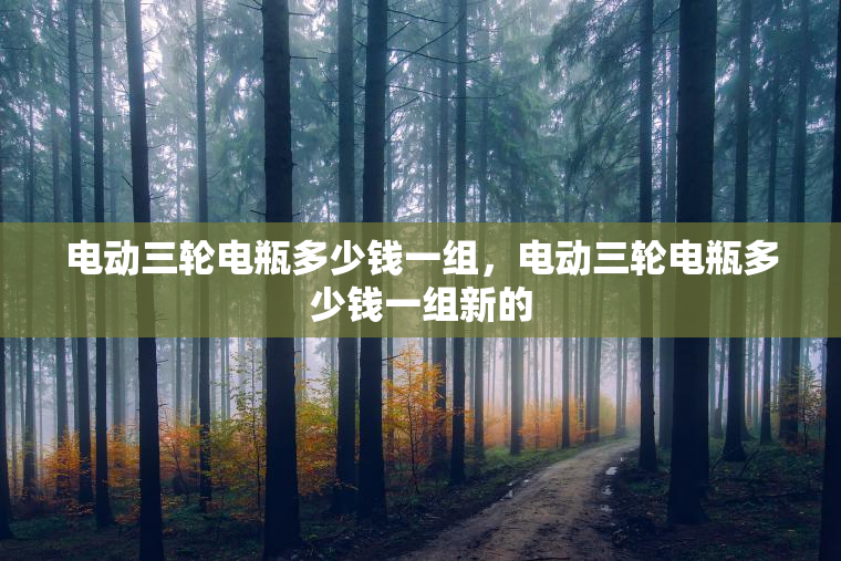 电动三轮电瓶多少钱一组,电动三轮电瓶多少钱一组新的 电动三轮电瓶多少钱一组,电动三轮电瓶多少钱一组新的