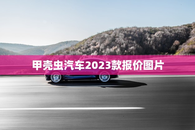 甲壳虫汽车2023款报价图片，可爱造型让人难以抗拒