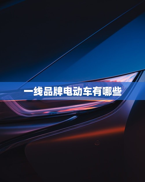 一线品牌电动车有哪些(市场)