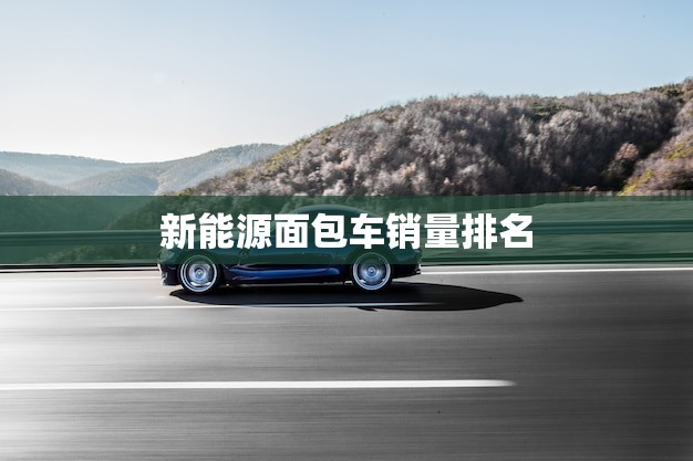 新能源面包车销量排名(2023年度数据出炉谁是市场霸主)