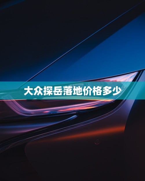 大众探岳落地价格多少(市场实测惊喜不断)