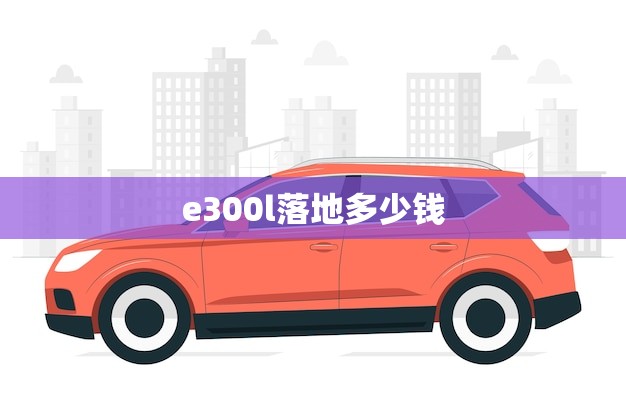 e300l落地多少钱(市场价格调查)