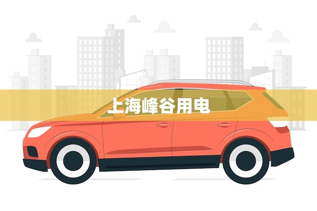 上海峰谷用电 时间调整(优化用电共建绿色家园)