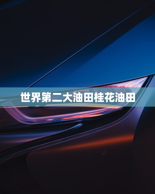 世界第二大油田桂花油田(中国能源产业的重要支柱) 世界第二大油田桂花油田(中国能源产业的重要支柱)