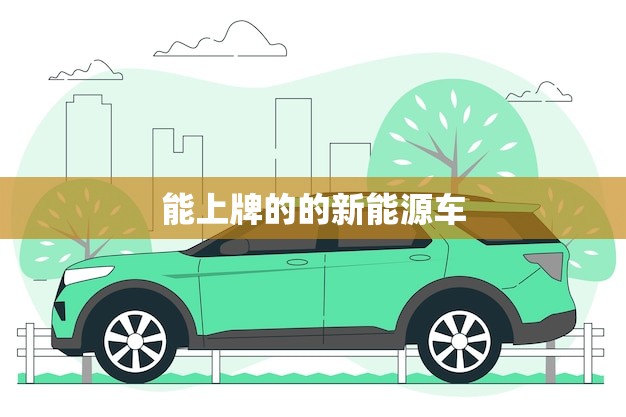 能上牌的的新能源车(哪款车最划算)