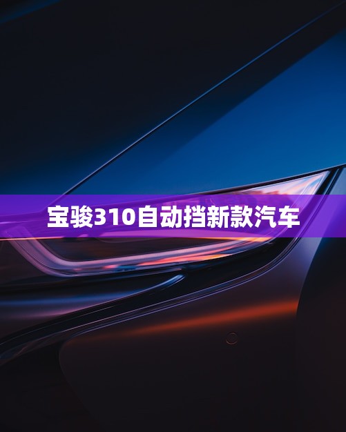 宝骏310自动挡新款汽车(性价比再升级)
