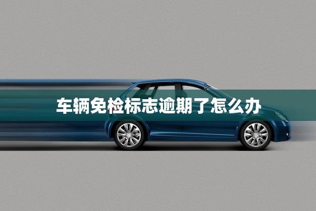 车辆免检标志逾期了怎么办(如何避免被罚款)