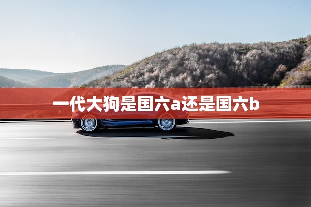 一代大狗是国六a还是国六b(介绍大狗车型的排放标准)