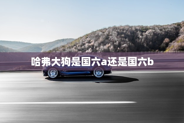 哈弗大狗是国六a还是国六b(介绍哈弗大狗的排放标准)