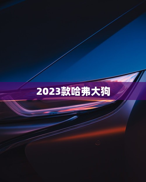 2023款哈弗大狗(国六a/b你知道吗)